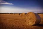 Quiete in campagna Quiete in campagna