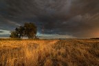 savana padana savana padana