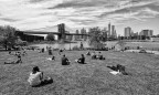 Brooklyn Brooklyn