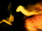 il vortice della taranta il vortice della taranta
