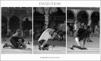 Evolution Evolution