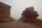 Poggio V Poggio V