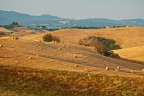L'ora d'oro - Tuscany L'ora d'oro - Tuscany