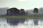 In padule In padule