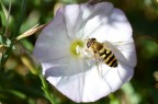 Macro1 Macro1