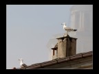 Volare tra le onde Volare tra le onde