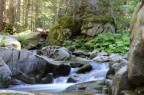 wild river wild river