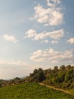 Poggio VII Poggio VII