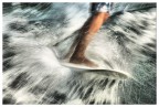 surf sul Naviglio Grande a Turbigo surf sul Naviglio Grande a Turbigo