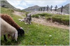 7 croci sul Pasubio. 7 croci sul Pasubio.