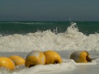 mare mosso mare mosso