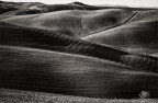 Volterra Volterra
