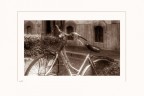 La bici... La bici...