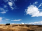 Cipressetti..... Cipressetti.....