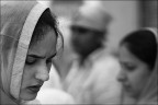 MG_2304 MG_2304