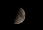 Luna Luna