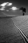 Il Solitario Il Solitario
