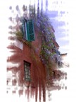 trastevere dream trastevere dream