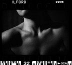 Fra il cuore e la mente