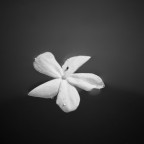 '''