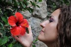 Red Passion Red Passion