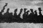 20855 - Processione 20855 - Processione