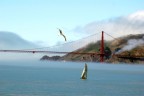 S.Francisco Bay S.Francisco Bay