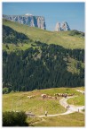 Avelignesi sotto lo Sciliar Avelignesi sotto lo Sciliar