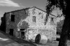 Casolare abbandonato Casolare abbandonato