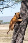 Arrampicata... Arrampicata...
