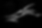 Bodyscape Bodyscape