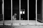 tra le sbarre tra le sbarre