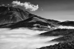 Vision B&W Vision B&W