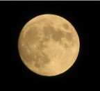 luna grande luna grande