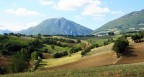 Paesaggio marchigiano