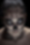 prog. calaveras 5 prog. calaveras 5