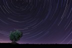 startrail startrail