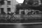 Campionato del Mondo di ciclismo, Firenze Campionato del Mondo di ciclismo, Firenze