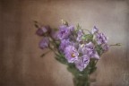 Lisianthus in Glicine