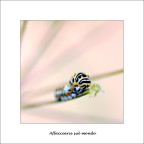 Affacciarsi sul mondo...