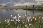Img_0657 Img_0657