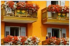 Orange Orange