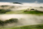 Green fields under the morning fog Green fields under the morning fog