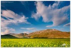 Fioritura a Castelluccio
Commenti e critiche ben accetti come sempre,
Buona serata a tutti!