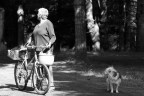 Rumori sospetti... Rumori sospetti...