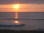 alba 2 alba 2