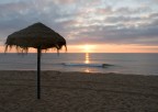 alba 5 alba 5