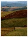 Paesaggio Paesaggio