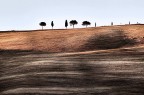 Minimale