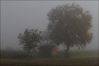 Mattinata autunnale